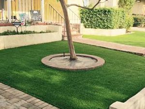 Artificial Grass