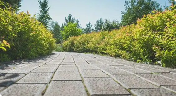 interlocking pavers